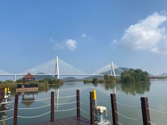 -芒洲湿地公园