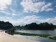 -新江湾城公园