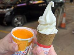 -富豪雪糕车流动点(尖沙咀店)