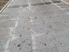 -哈尔滨文化公园