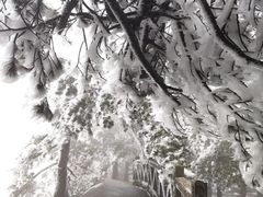 -天柱山风景区