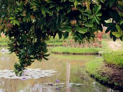-中国科学院西双版纳热带植物园