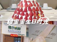 -维尔纳斯·生日蛋糕·动物奶油冰淇淋蛋糕(六里桥店)
