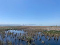 -野鸭湖国家湿地公园