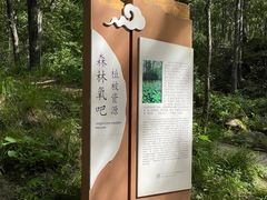 -洛阳白云山景区