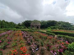 -济州森林小火车生态公园