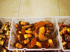 -双喜农庄·菌香园(安居家园店)