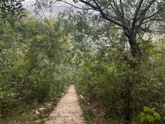 -幕燕滨江·长江观音景区