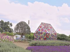 -紫颐香薰山谷景区