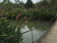 -桤木河湿地公园