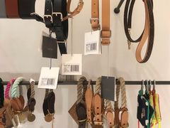 -電力宠物公司(武定路店)