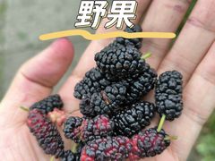 -八卦田遗址公园