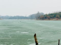 -绿堤公园
