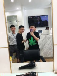 -YESIDO椰岛造型