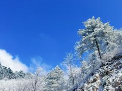 -四明山国家森林公园