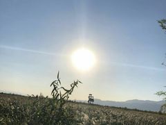 景点-野鸭湖国家湿地公园