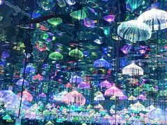 -上海梵高星空艺术馆(南京路旗舰店)