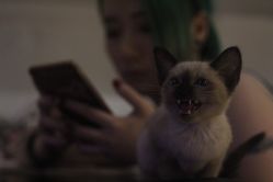 iphone_upload_pic-周忆刺青原创设计定制