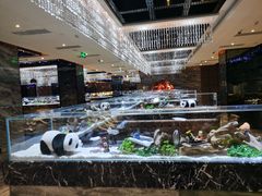 -红辣椒·川菜·火锅(大洋中心店)