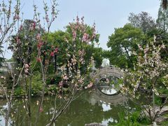 -上海植物园-4号门售票处