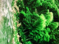 -将军关探险漂流