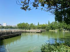 -沙市市中山公园