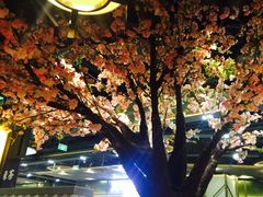 -绿茶餐厅(昌平悦荟店)