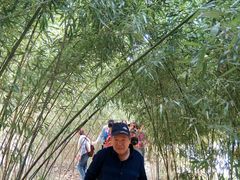 -黄花溪