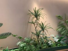 -奈雪的茶(广州万菱汇PRO店)