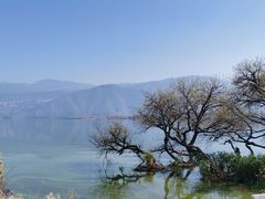 -西昌邛海湿地