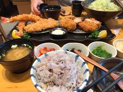 -胜博殿日式炸猪排(西红门店)