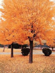 -大望京儿童游乐场