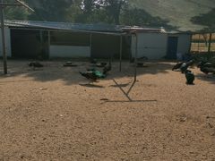 -苏州上方山国家森林公园