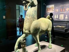 -广西壮族自治区博物馆