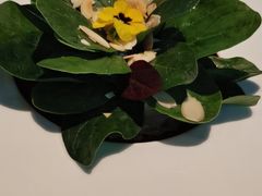 -L'Arome芳芳法国餐厅(仙林金鹰店)
