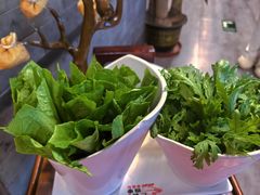福袋树-仁和四季涮肉馆(天坛南门店)
