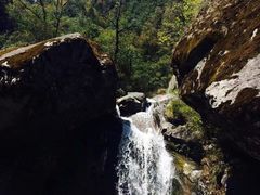 -海南霸王岭国家森林公园