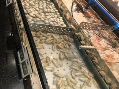 -盛江山自助料理(太原街万达店)