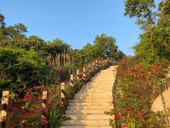 -东澳岛