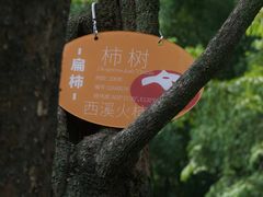 -西溪国家湿地公园