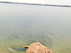 -丁香湖公园