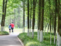 -桤木河湿地公园