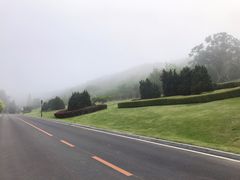 -棒棰岛宾馆景区