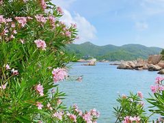 -东澳岛