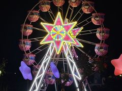 -荷兰花海