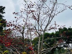-云溪植物园