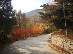 -北京鹫峰国家森林公园