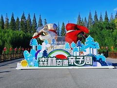 -黄海国家森林公园