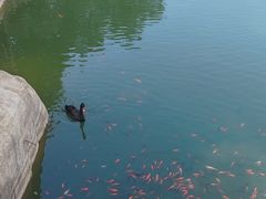 -沂蒙山旅游区云蒙景区(蒙山国家森林公园)