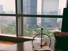 -广州富力君悦大酒店空中花园